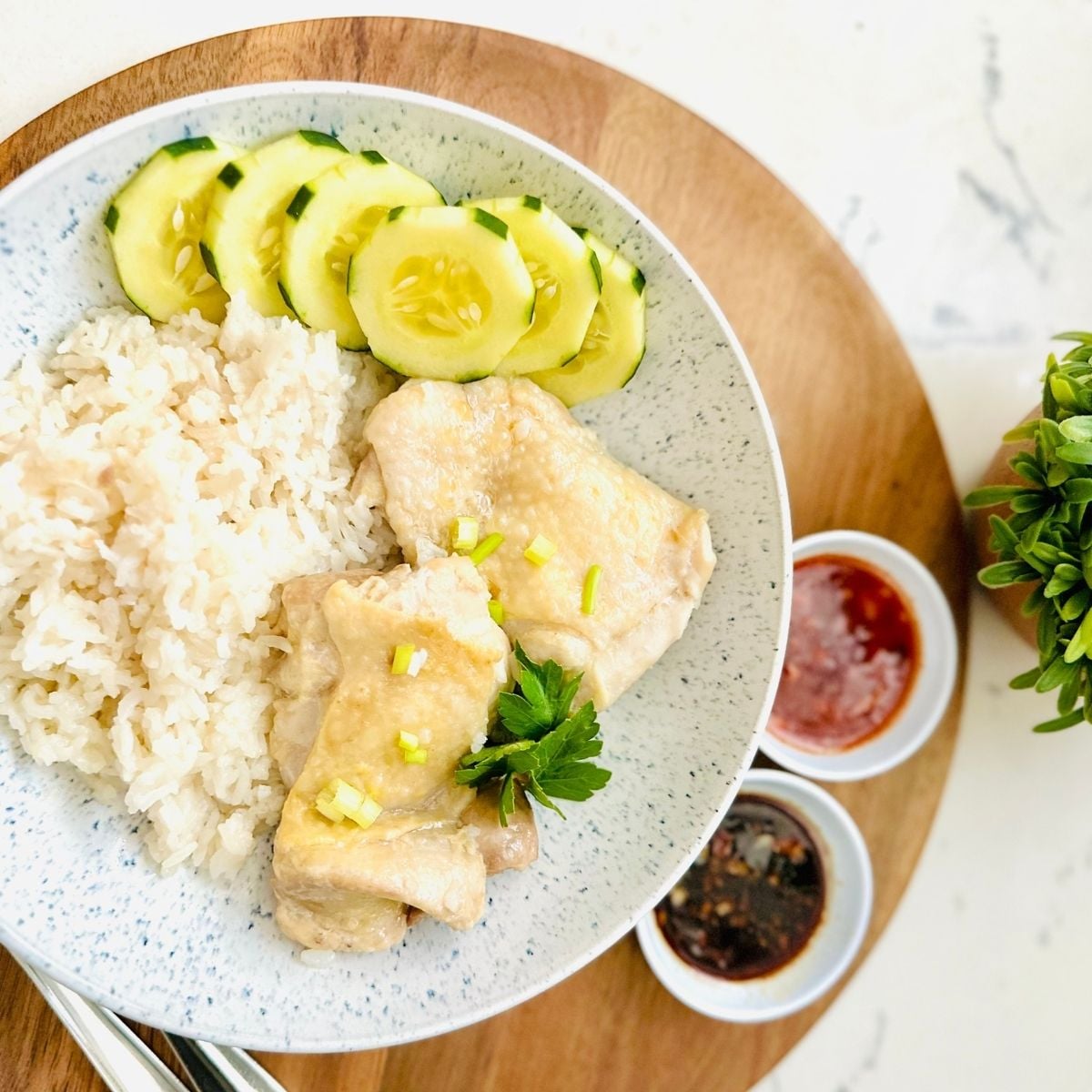 Easy Hainanese Chicken Rice in Rice Cooker (One-Pot Meal)