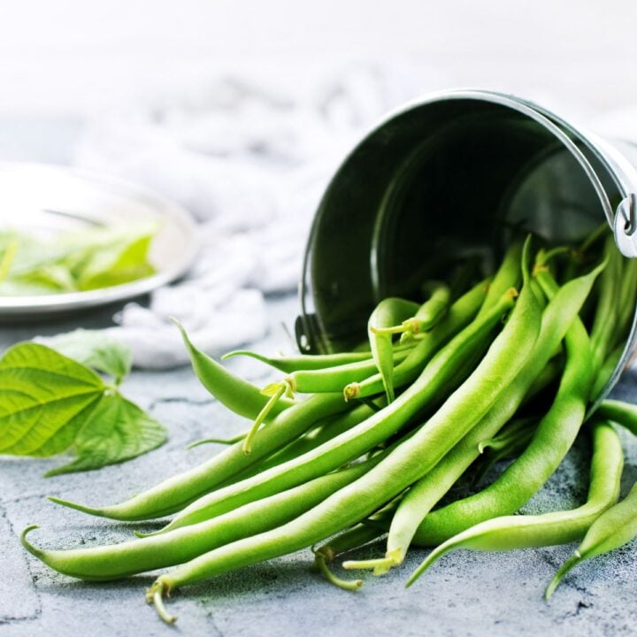 How to Tell If Green Beans Are Bad (How to Keep Them Fresh)