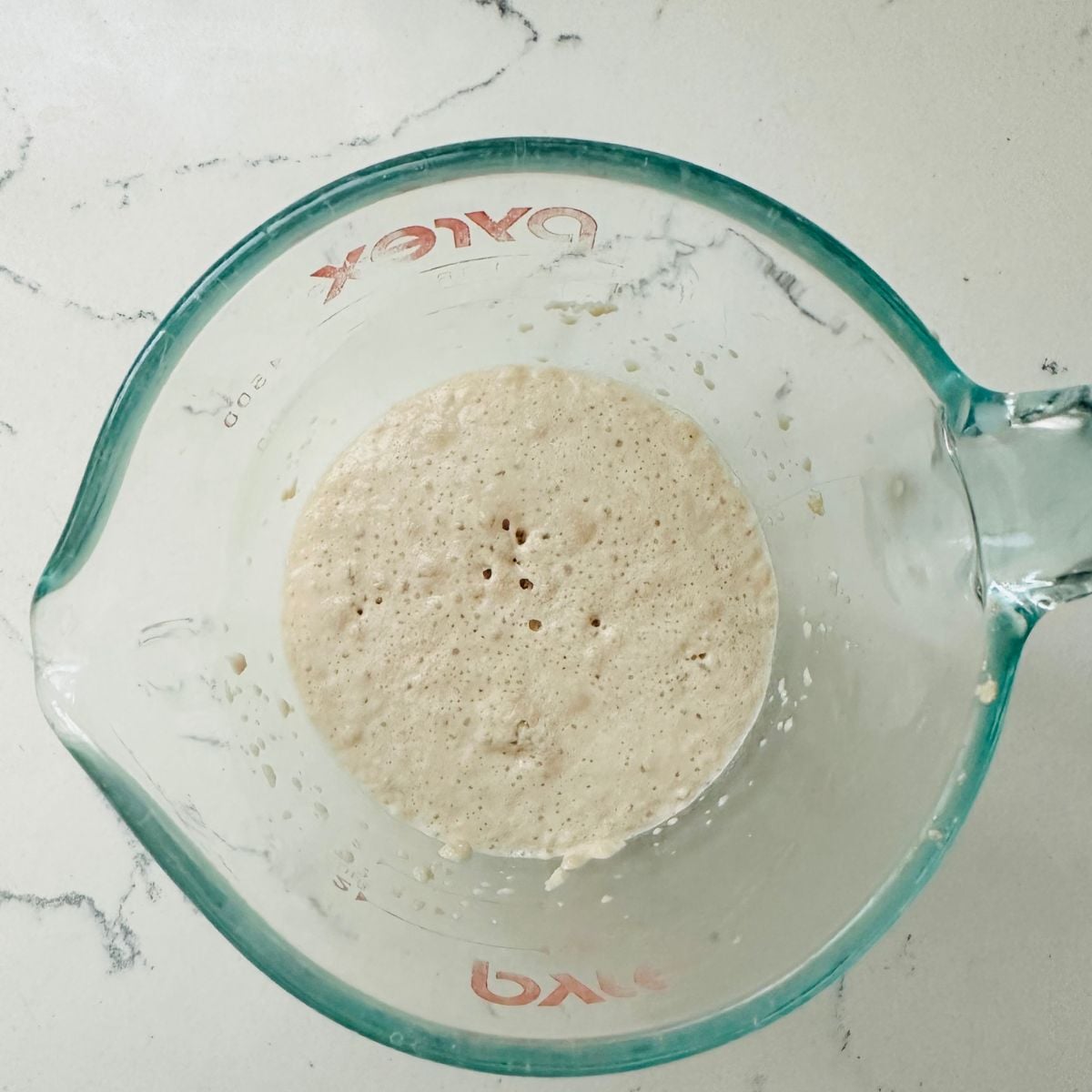 Close-up of activating yeast.