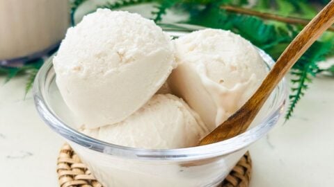 Ninja-Creami-Coconut-Ice-Cream