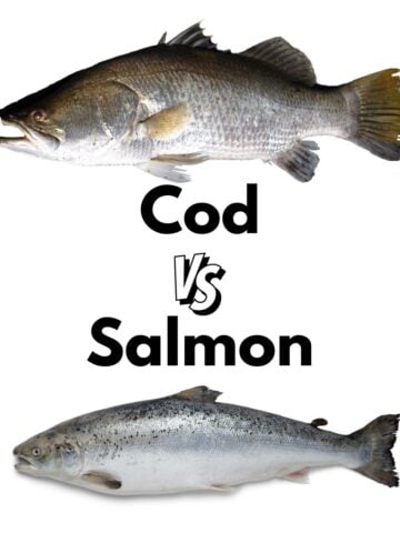 Cod fish and Salmon compared.