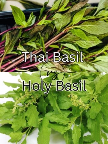 Side-by-side comparison of holy basil and Thai basil leaves showing differences in shape, color, and texture