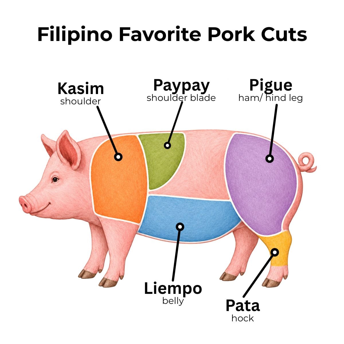Filipino pork cuts diagram showing kasim (shoulder), paypay (shoulder blade), pigue (ham or hind leg), liempo (belly), and pata (hock) on a pig.