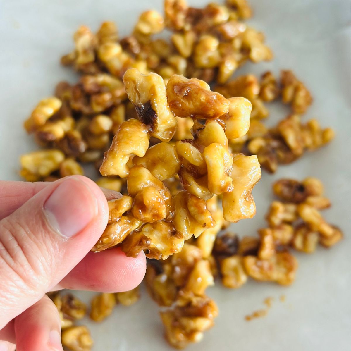 Crispy candied maple walnuts with shiny caramelized coating ready to store in airtight jar.