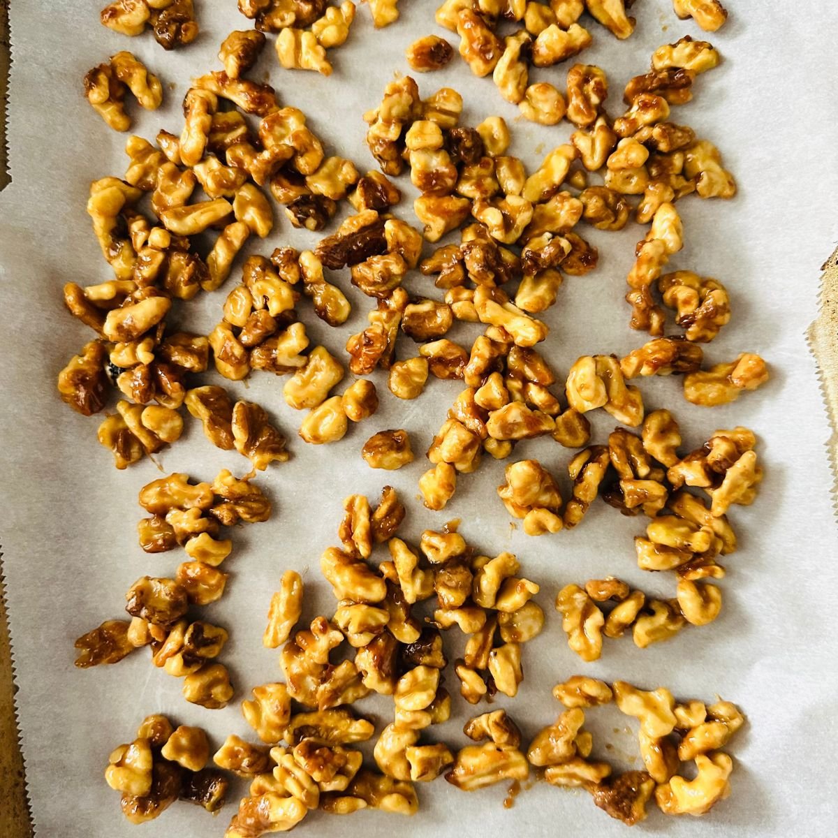Freshly cooked candied maple walnuts spread on parchment paper to cool and crisp up.
