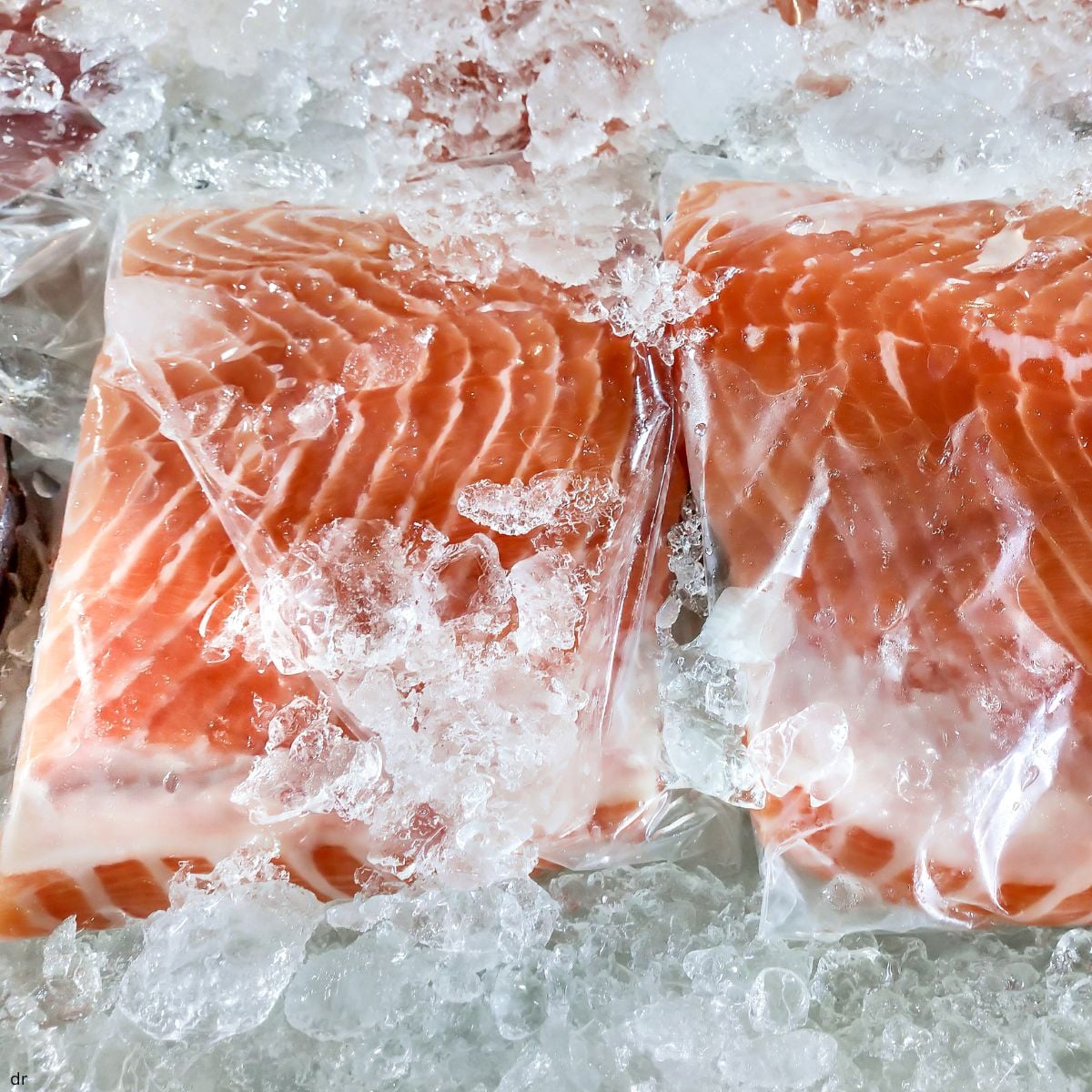 Frozen salmon fillets in sealed packaging surrounded by ice.