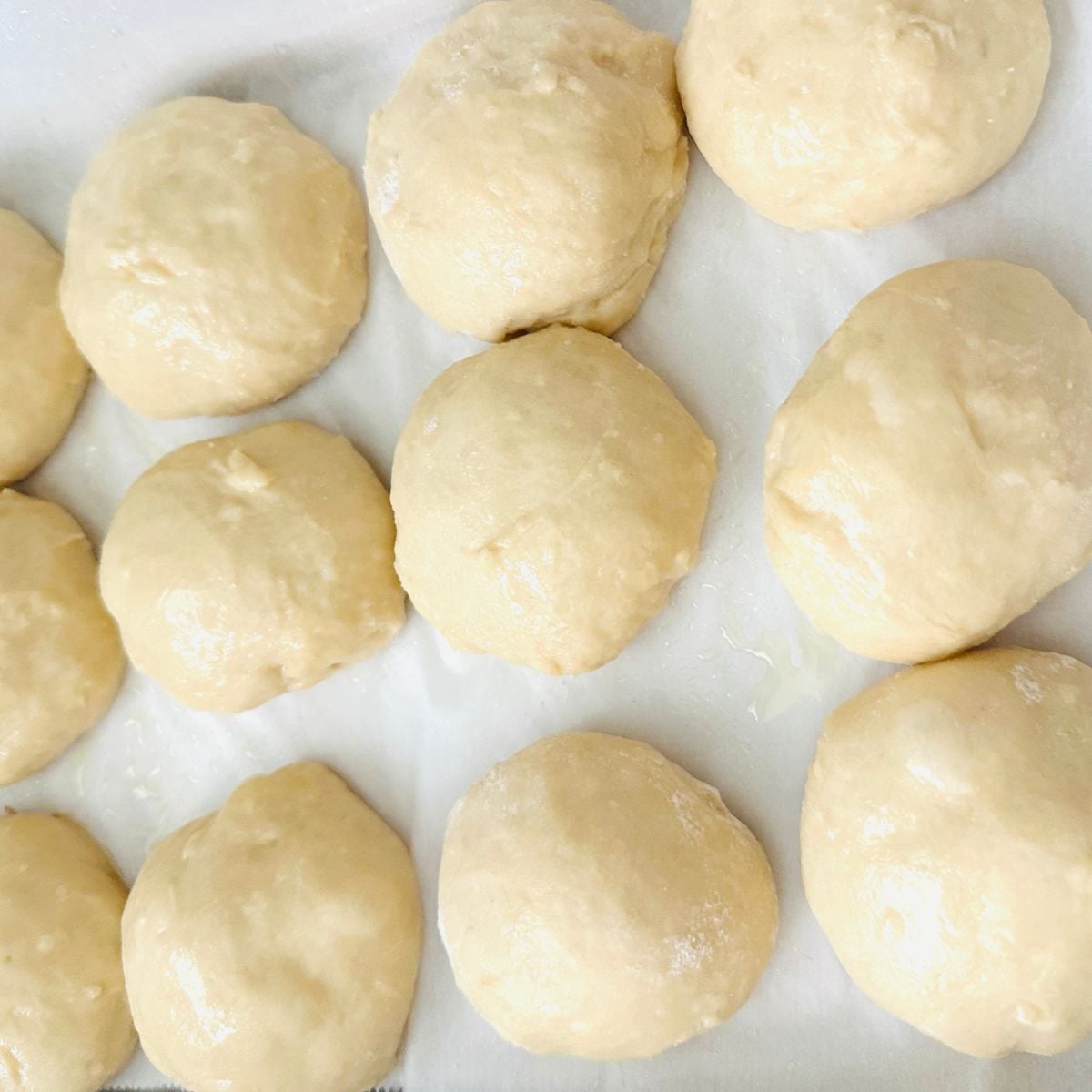Freshly shaped pandesal dough balls resting on parchment paper before coating and baking.