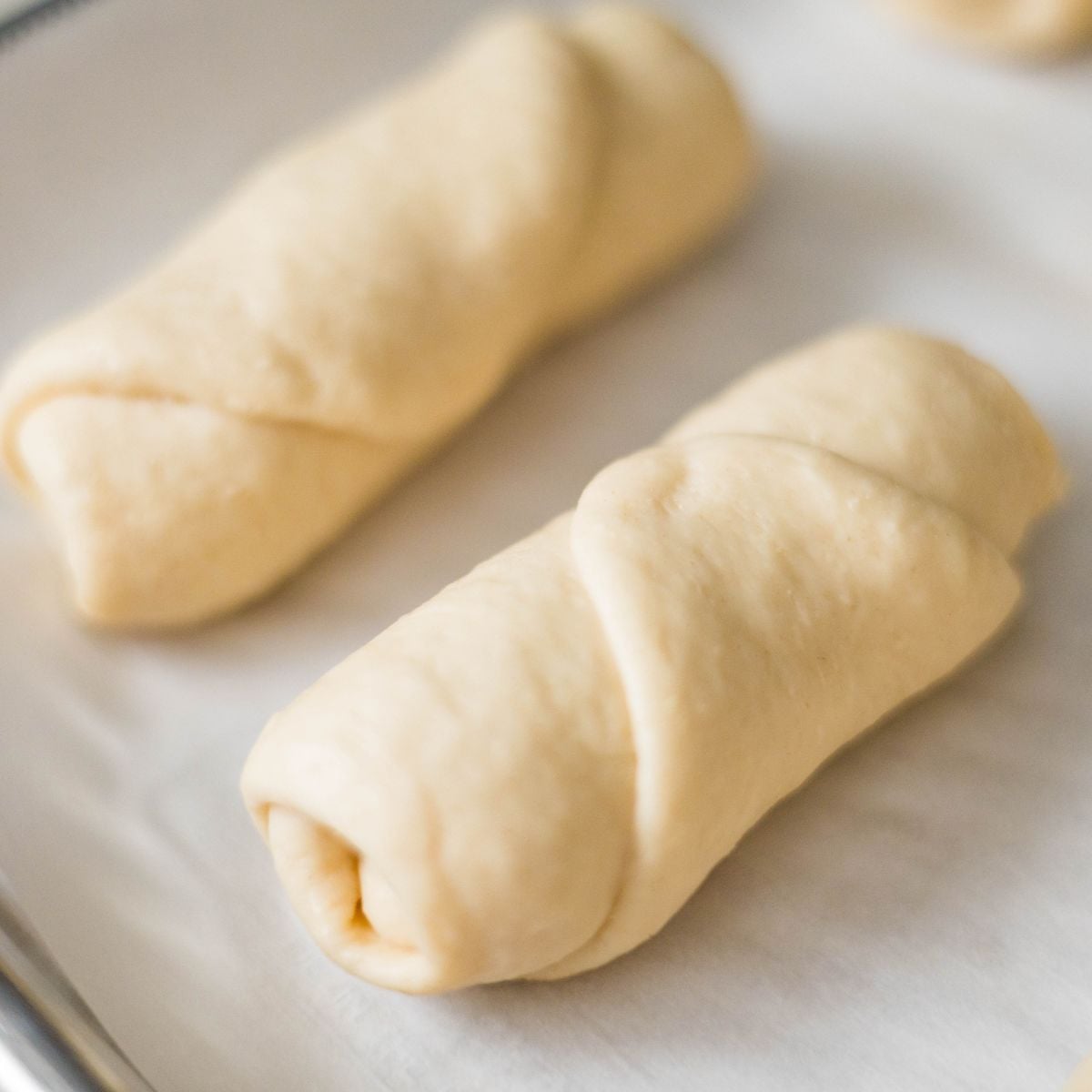 Close-up of two shaped salt bread rolls on a parchment-lined baking sheet before proofing or baking.
