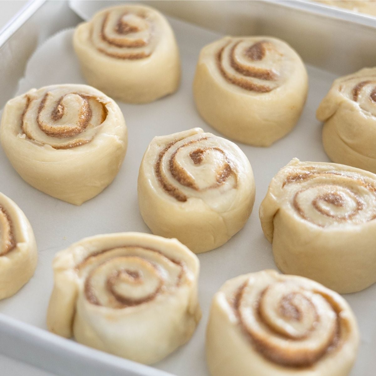 Unbaked classic cinnamon rolls arranged in a baking pan before second proofing