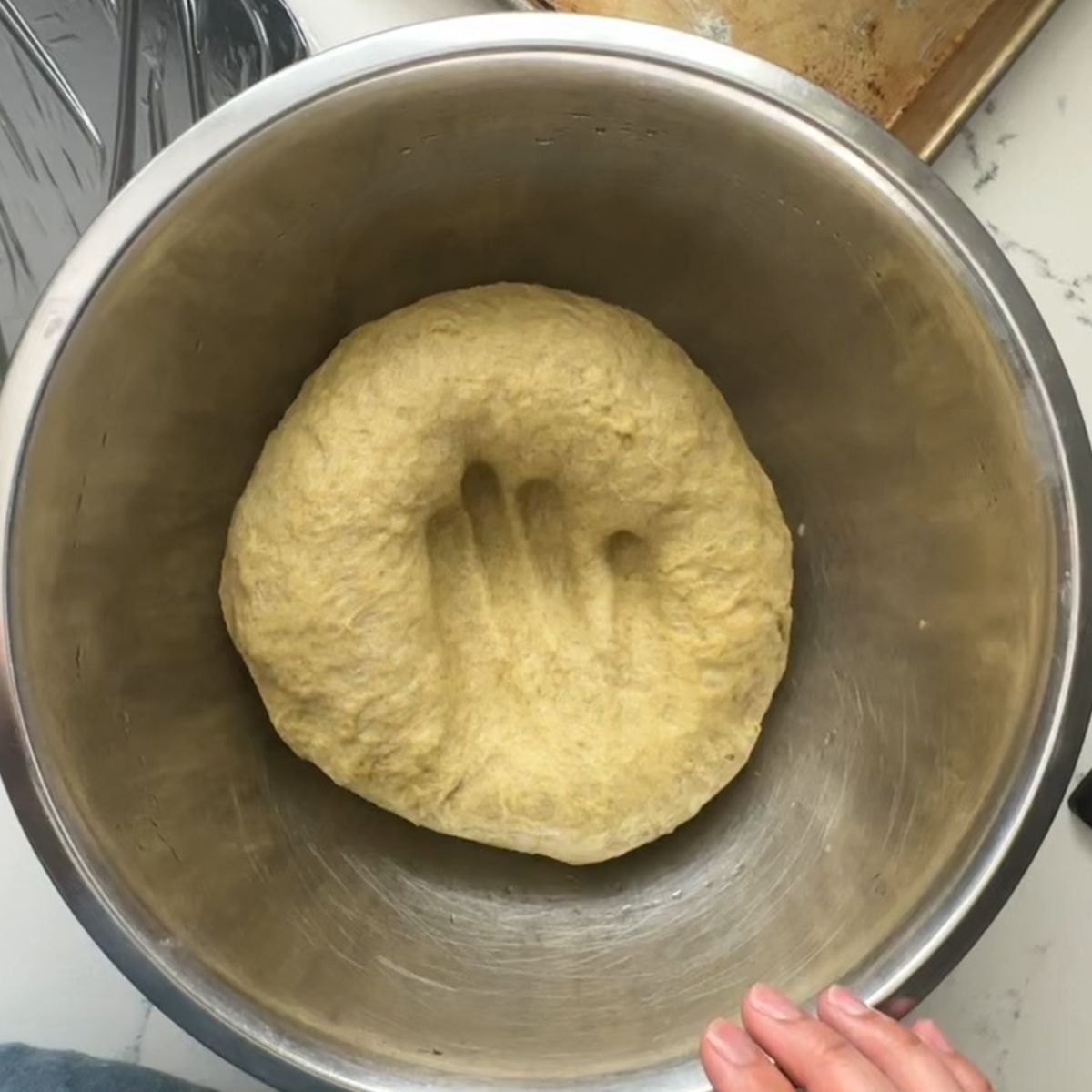 Malunggay pandesal dough after the first rise with finger indentations in the center.