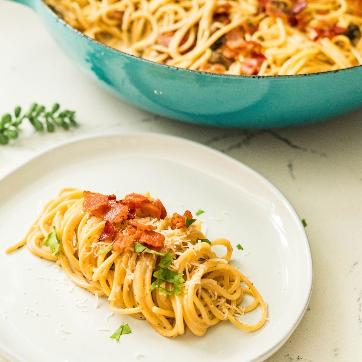 Creamy carbonara pasta served on a white plate with bacon and parsley