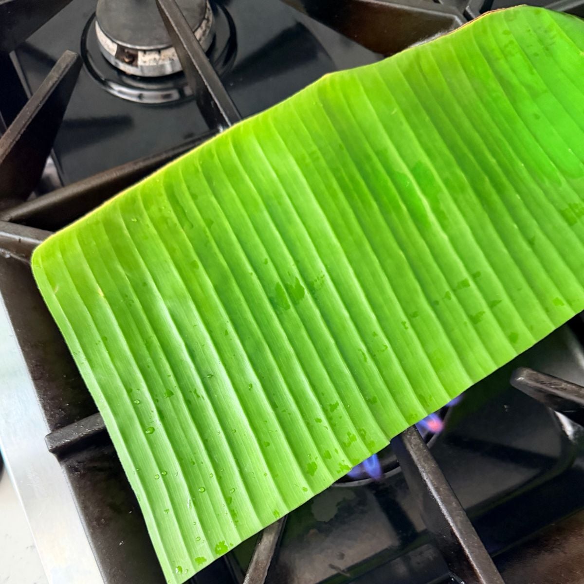 Preparing banana leaf over a flame for Filipino bibingka